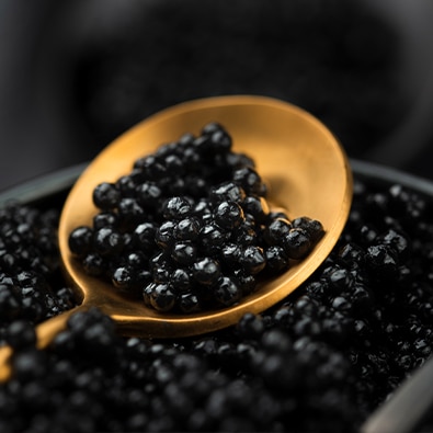 Caviar